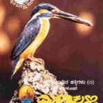 ಮಿಂಚುಳ್ಳಿ | Minchulli