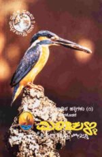 ಮಿಂಚುಳ್ಳಿ | Minchulli