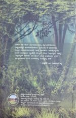 ಶ್ರೀ ರಾಮಾಯಣ ದರ್ಶನಂ | Sri Ramayana Darshanam - Image 2