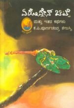 ಏರೋಪ್ಲೇನ್ ಚಿಟ್ಟೆ | Aeroplane Chitte