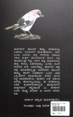 ವಿಸ್ಮಯ- 3 | Vismaya -3 - Image 2